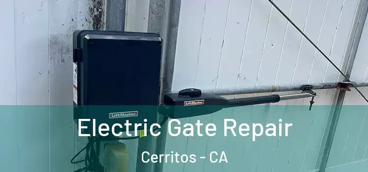 Electric Gate Repair Cerritos - CA