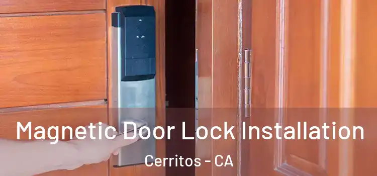  Magnetic Door Lock Installation Cerritos - CA