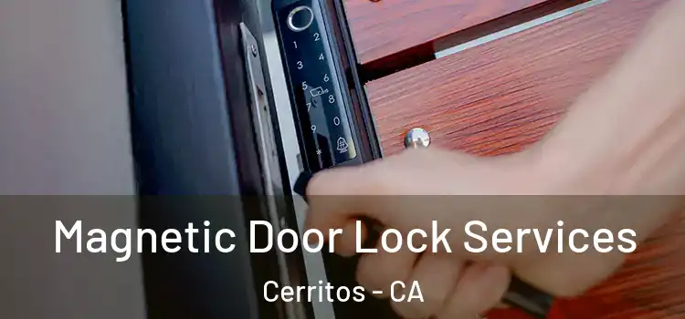 Magnetic Door Lock Services Cerritos - CA