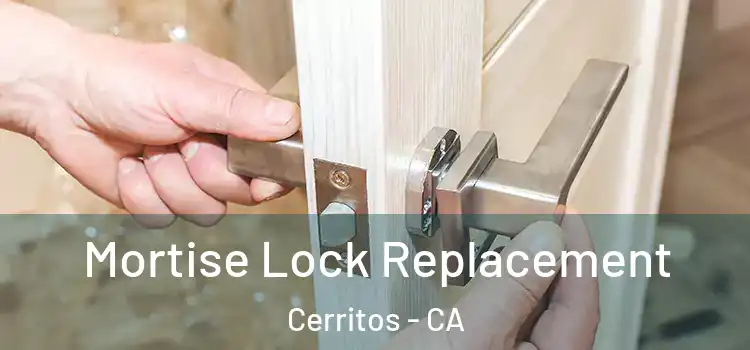 Mortise Lock Replacement Cerritos - CA